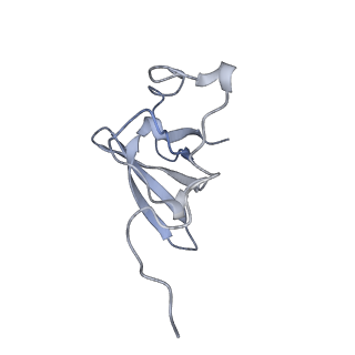 34866_8hl1_L21E_v1-0
Cryo-EM Structures and Translocation Mechanism of Crenarchaeota Ribosome