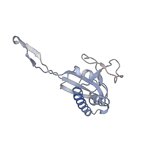 34866_8hl1_L22P_v1-0
Cryo-EM Structures and Translocation Mechanism of Crenarchaeota Ribosome