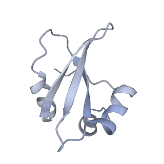 34866_8hl1_L23P_v1-0
Cryo-EM Structures and Translocation Mechanism of Crenarchaeota Ribosome