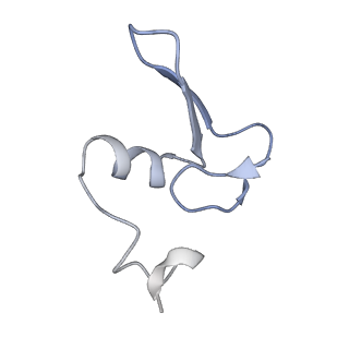 34866_8hl1_L24E_v1-0
Cryo-EM Structures and Translocation Mechanism of Crenarchaeota Ribosome