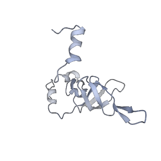 34866_8hl1_L24P_v1-0
Cryo-EM Structures and Translocation Mechanism of Crenarchaeota Ribosome