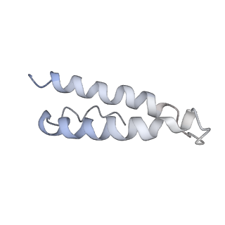 34866_8hl1_L29P_v1-0
Cryo-EM Structures and Translocation Mechanism of Crenarchaeota Ribosome