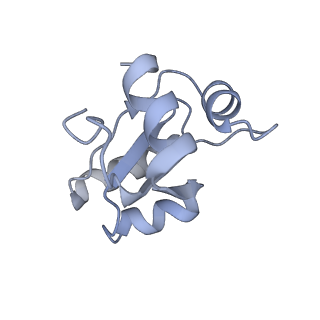 34866_8hl1_L30E_v1-0
Cryo-EM Structures and Translocation Mechanism of Crenarchaeota Ribosome