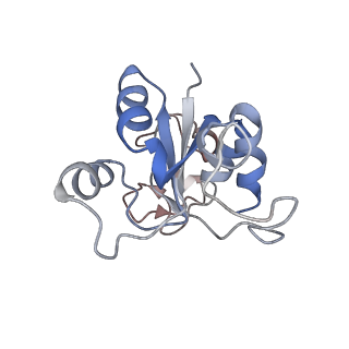 34866_8hl1_L30P_v1-0
Cryo-EM Structures and Translocation Mechanism of Crenarchaeota Ribosome