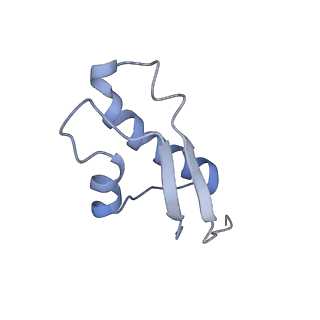 34866_8hl1_L31E_v1-0
Cryo-EM Structures and Translocation Mechanism of Crenarchaeota Ribosome