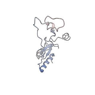 34866_8hl1_L32E_v1-0
Cryo-EM Structures and Translocation Mechanism of Crenarchaeota Ribosome