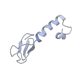 34866_8hl1_L37A_v1-0
Cryo-EM Structures and Translocation Mechanism of Crenarchaeota Ribosome
