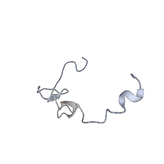 34866_8hl1_L37E_v1-0
Cryo-EM Structures and Translocation Mechanism of Crenarchaeota Ribosome
