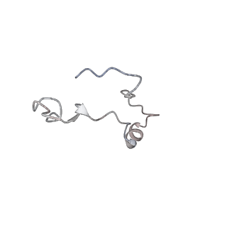 34866_8hl1_L39E_v1-0
Cryo-EM Structures and Translocation Mechanism of Crenarchaeota Ribosome