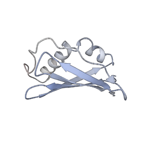 34866_8hl1_L45A_v1-0
Cryo-EM Structures and Translocation Mechanism of Crenarchaeota Ribosome