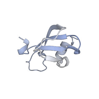34866_8hl1_L46A_v1-0
Cryo-EM Structures and Translocation Mechanism of Crenarchaeota Ribosome
