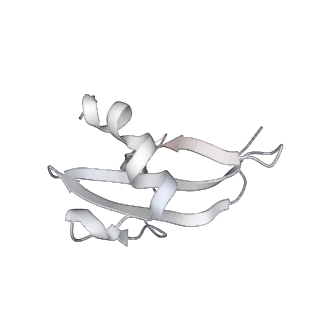 34866_8hl1_L47A_v1-0
Cryo-EM Structures and Translocation Mechanism of Crenarchaeota Ribosome