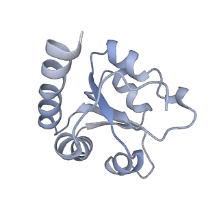 34866_8hl1_L7A1_v1-0
Cryo-EM Structures and Translocation Mechanism of Crenarchaeota Ribosome