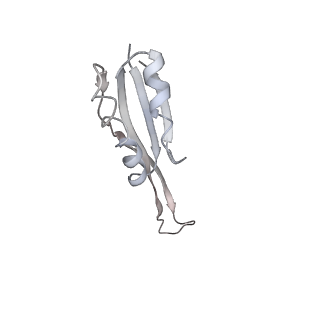 34866_8hl1_S10P_v1-0
Cryo-EM Structures and Translocation Mechanism of Crenarchaeota Ribosome