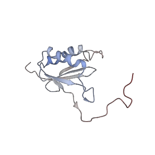 34866_8hl1_S11P_v1-0
Cryo-EM Structures and Translocation Mechanism of Crenarchaeota Ribosome