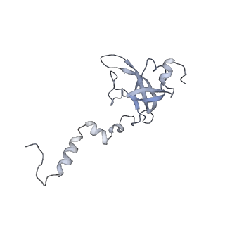 34866_8hl1_S12P_v1-0
Cryo-EM Structures and Translocation Mechanism of Crenarchaeota Ribosome
