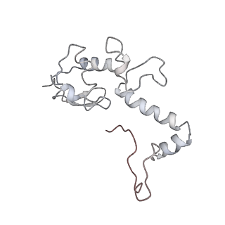 34866_8hl1_S13P_v1-0
Cryo-EM Structures and Translocation Mechanism of Crenarchaeota Ribosome