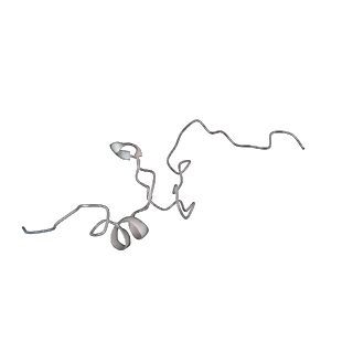 34866_8hl1_S14P_v1-0
Cryo-EM Structures and Translocation Mechanism of Crenarchaeota Ribosome