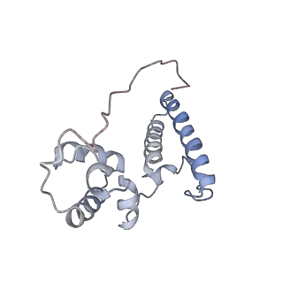 34866_8hl1_S15P_v1-0
Cryo-EM Structures and Translocation Mechanism of Crenarchaeota Ribosome