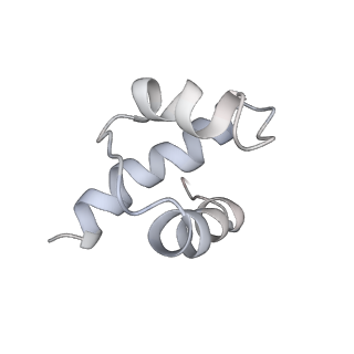 34866_8hl1_S17E_v1-0
Cryo-EM Structures and Translocation Mechanism of Crenarchaeota Ribosome