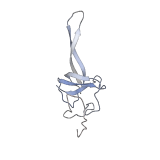 34866_8hl1_S17P_v1-0
Cryo-EM Structures and Translocation Mechanism of Crenarchaeota Ribosome