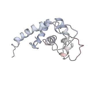 34866_8hl1_S19E_v1-0
Cryo-EM Structures and Translocation Mechanism of Crenarchaeota Ribosome