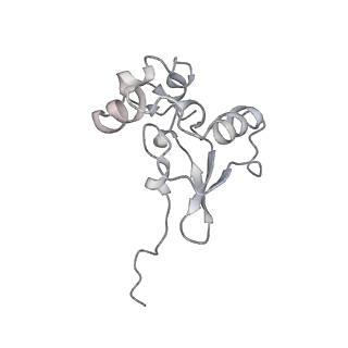 34866_8hl1_S19P_v1-0
Cryo-EM Structures and Translocation Mechanism of Crenarchaeota Ribosome