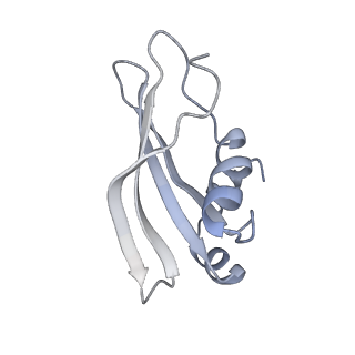 34866_8hl1_S24E_v1-0
Cryo-EM Structures and Translocation Mechanism of Crenarchaeota Ribosome