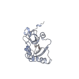 34866_8hl1_S3AE_v1-0
Cryo-EM Structures and Translocation Mechanism of Crenarchaeota Ribosome