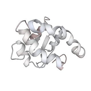 34866_8hl1_SL7A_v1-0
Cryo-EM Structures and Translocation Mechanism of Crenarchaeota Ribosome