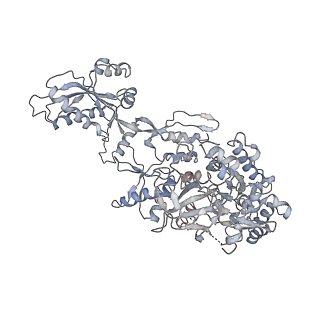 34867_8hl2_AEFG_v1-0
Cryo-EM Structures and Translocation Mechanism of Crenarchaeota Ribosome