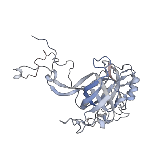 34867_8hl2_AL3P_v1-0
Cryo-EM Structures and Translocation Mechanism of Crenarchaeota Ribosome