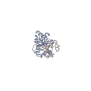 34867_8hl2_AL4P_v1-0
Cryo-EM Structures and Translocation Mechanism of Crenarchaeota Ribosome