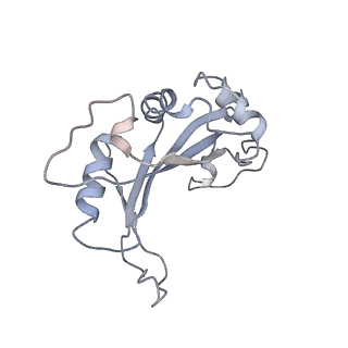 34867_8hl2_AL5P_v1-0
Cryo-EM Structures and Translocation Mechanism of Crenarchaeota Ribosome
