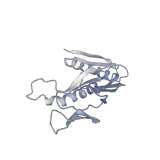 34867_8hl2_AL6P_v1-0
Cryo-EM Structures and Translocation Mechanism of Crenarchaeota Ribosome