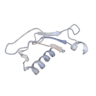 34867_8hl2_ALX0_v1-0
Cryo-EM Structures and Translocation Mechanism of Crenarchaeota Ribosome