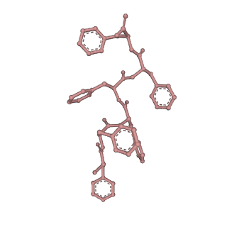 34867_8hl2_APTP_v1-0
Cryo-EM Structures and Translocation Mechanism of Crenarchaeota Ribosome