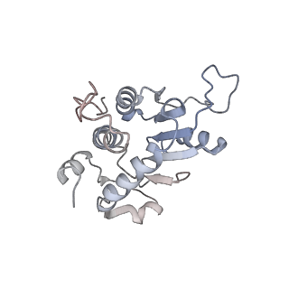 34867_8hl2_AS2P_v1-0
Cryo-EM Structures and Translocation Mechanism of Crenarchaeota Ribosome