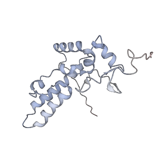 34867_8hl2_AS4P_v1-0
Cryo-EM Structures and Translocation Mechanism of Crenarchaeota Ribosome