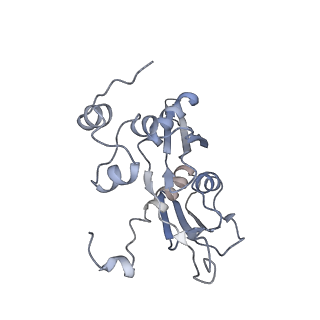 34867_8hl2_AS5P_v1-0
Cryo-EM Structures and Translocation Mechanism of Crenarchaeota Ribosome