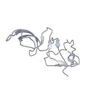 34867_8hl2_AS6E_v1-0
Cryo-EM Structures and Translocation Mechanism of Crenarchaeota Ribosome