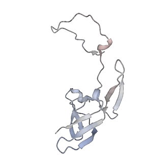 34867_8hl2_AS8E_v1-0
Cryo-EM Structures and Translocation Mechanism of Crenarchaeota Ribosome