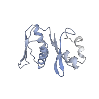 34867_8hl2_AS8P_v1-0
Cryo-EM Structures and Translocation Mechanism of Crenarchaeota Ribosome