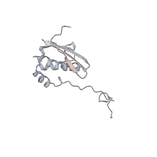 34867_8hl2_AS9P_v1-0
Cryo-EM Structures and Translocation Mechanism of Crenarchaeota Ribosome