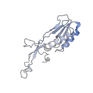 34867_8hl2_L10E_v1-0
Cryo-EM Structures and Translocation Mechanism of Crenarchaeota Ribosome