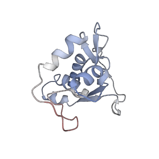 34867_8hl2_L13P_v1-0
Cryo-EM Structures and Translocation Mechanism of Crenarchaeota Ribosome