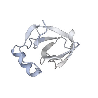34867_8hl2_L141_v1-0
Cryo-EM Structures and Translocation Mechanism of Crenarchaeota Ribosome
