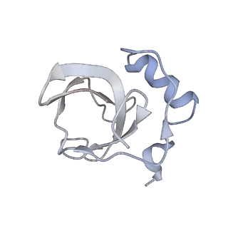 34867_8hl2_L142_v1-0
Cryo-EM Structures and Translocation Mechanism of Crenarchaeota Ribosome