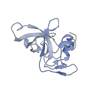 34867_8hl2_L14P_v1-0
Cryo-EM Structures and Translocation Mechanism of Crenarchaeota Ribosome