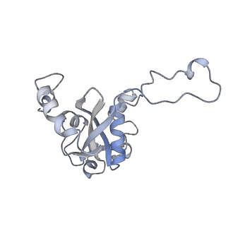 34867_8hl2_L15E_v1-0
Cryo-EM Structures and Translocation Mechanism of Crenarchaeota Ribosome